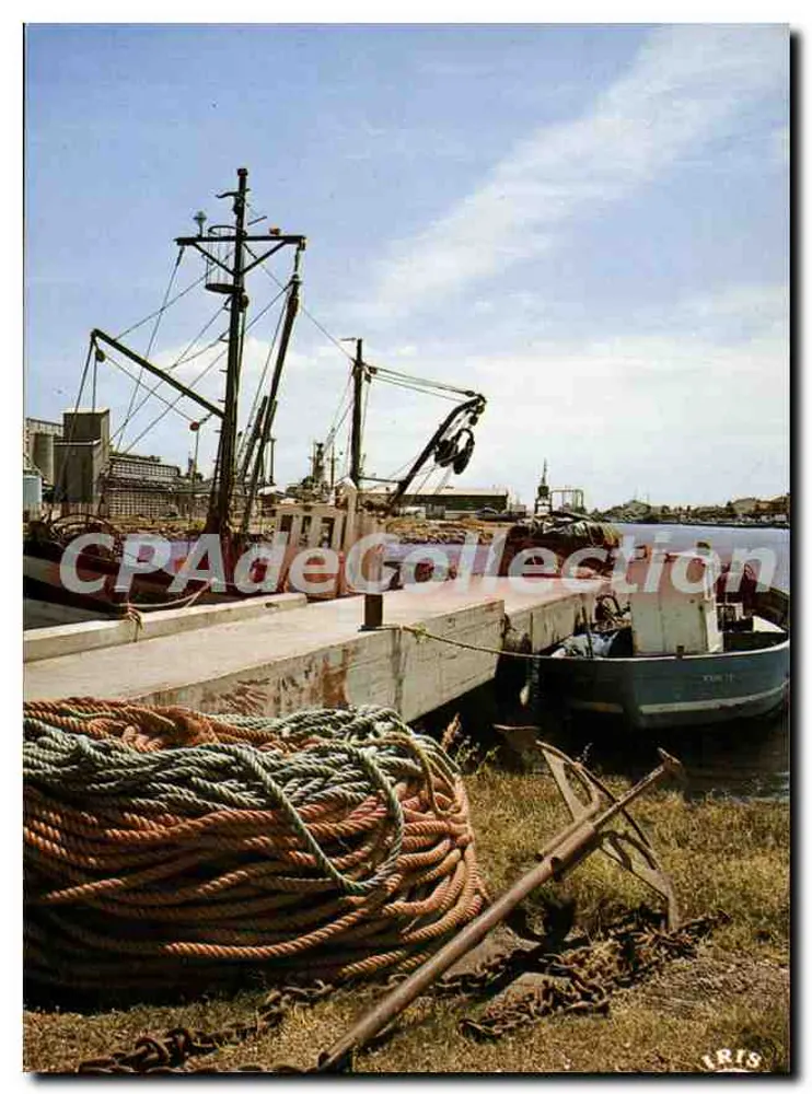 Port La Nouvelle (Aude) — Ansicht des Fischhafens — Edition ThéoJAC - Vorderseite
