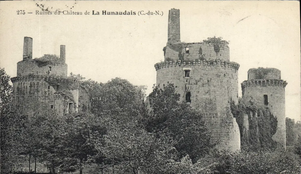 Ruínas do Castelo de La Hunaudais — Côte-d'Or — n°275 - Frente