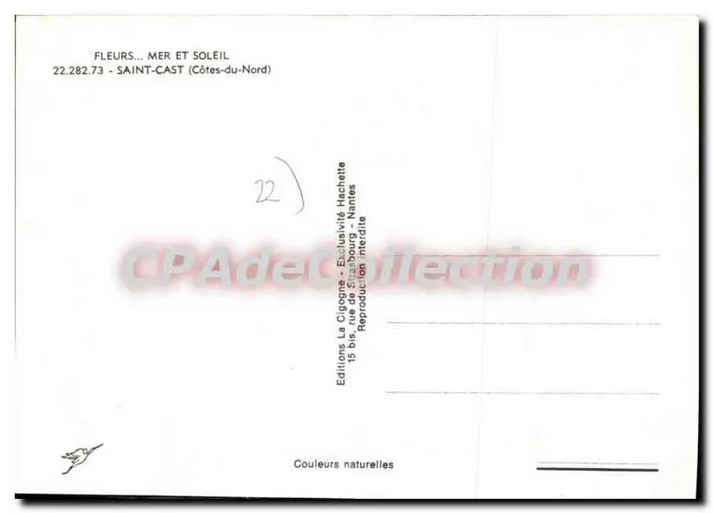 Saint-Cast — Flores... mar e sol... — La Cigogne, n°22.282.73 - Verso