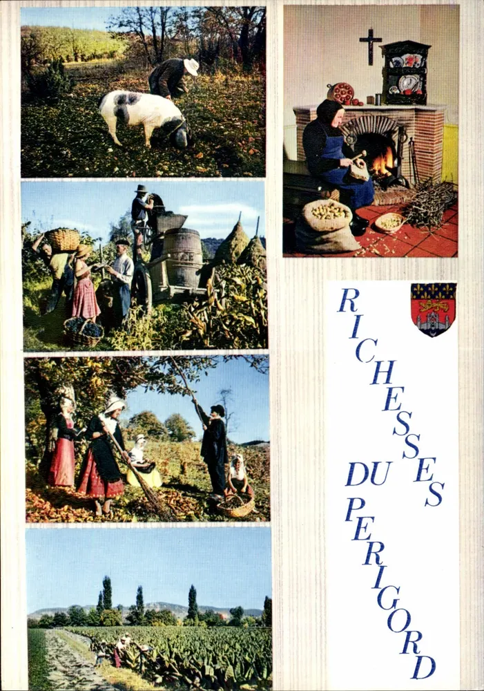 Riquezas do Périgord — Éditions Moderne, Limoges, n° A 24/162 - Frente