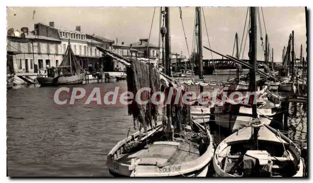Le Grau-du-Roi — Barcos em repouso — Bilhete postal antigo de Collection n°264 - Frente