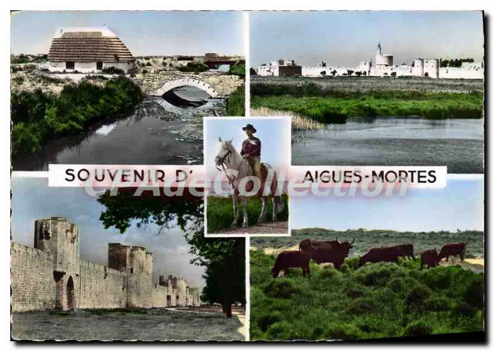 Aigues-Mortes — Pamiątka z Aigues-Mortes — Wydawnictwo S.E.P.T. - Awers