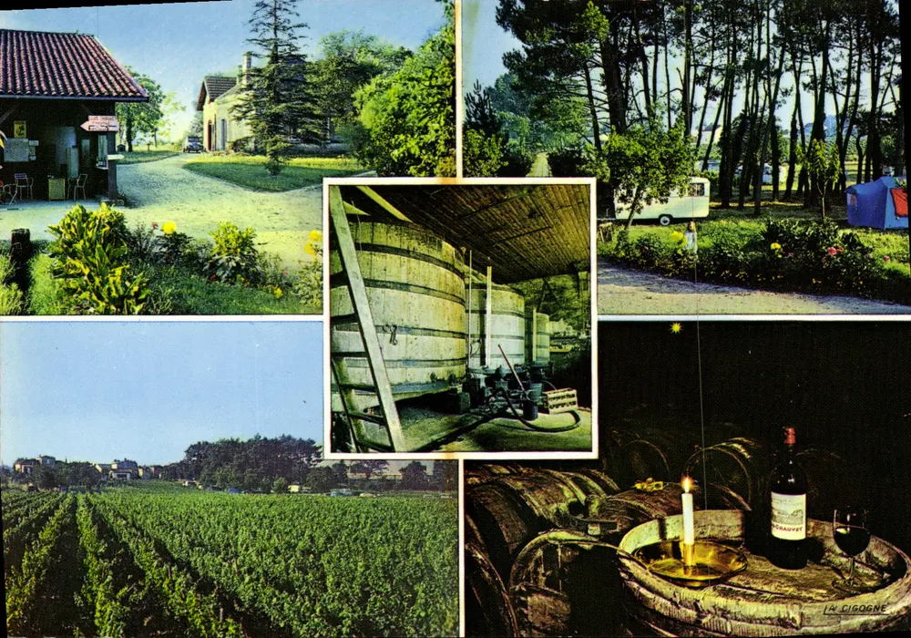 Clos Chauvet — vinha e adega — Edição La Cigogne - Frente