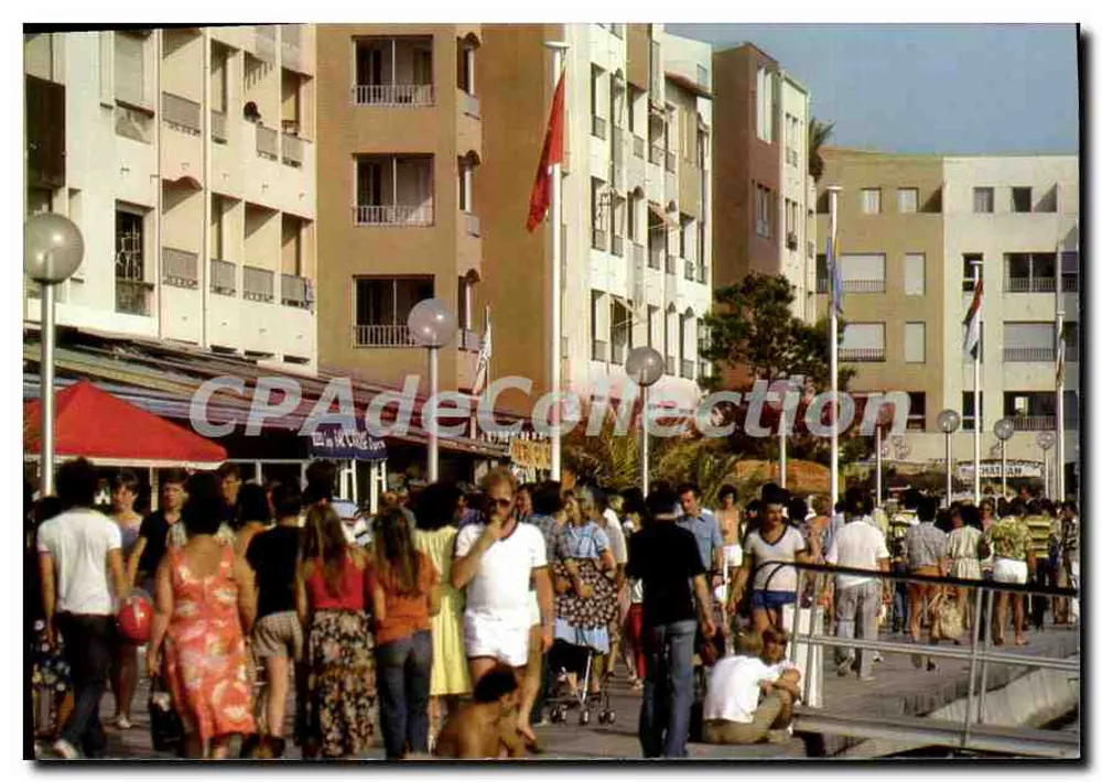O Cap d'Agde — Sobre os quais — IRIS - Frente