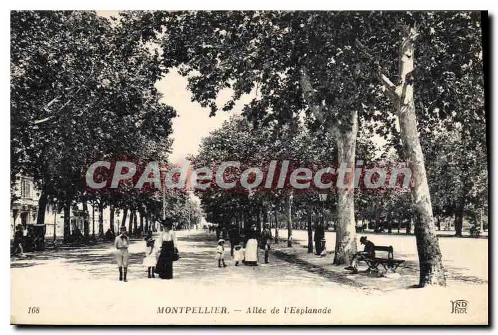 Montpellier — Avenida da Esplanada — IND HOT - Frente