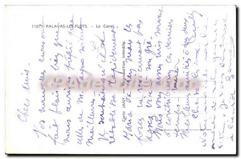 पालावास-लेस-फ्लॉट्स - कैनल - कार्ट ज़ानी नंबर 1107 - पीछे