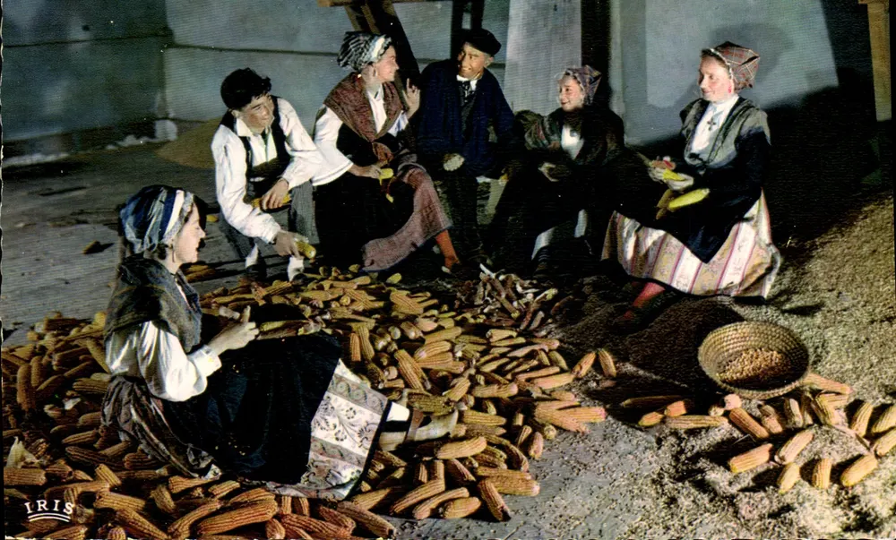 Folklore im Languedoc — La Bonne Histoire Maischälen — Regionalgruppe aus Toulouse « Terro Moundino » — Éditions IRIS - Vorderseite