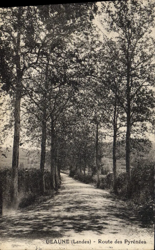 Géaune (Landes) - Estrada dos Pirineus - Frente