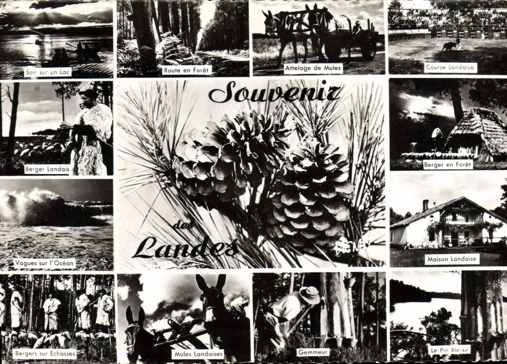 Lembranças das Landas — Ondas no Oceano, Pastor Landês, Carroça de Mulas, Corrida Landesa — Editor VIGNES - Frente