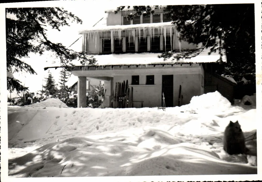 Le Chambon-sur-Lignon — Paysage de Neige — Photo SANHET - Recto