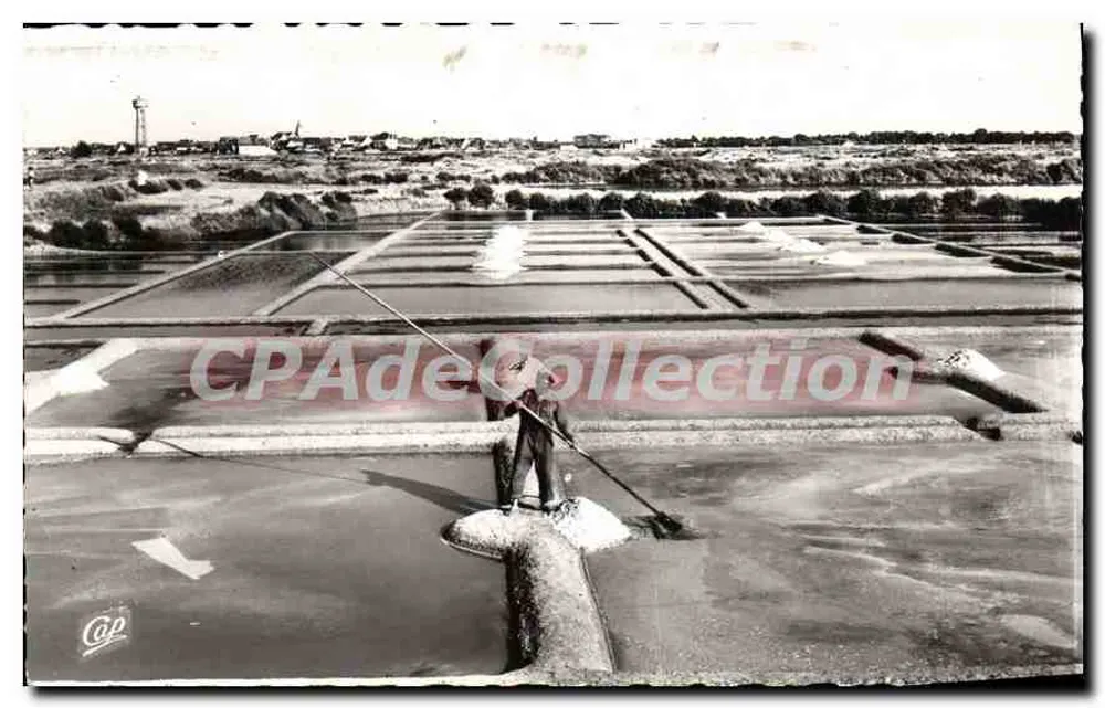 Os Marais Salants — Environs de LA BAULE — C.A.P., 44, rue Lavelloir, Paris (15e) - Frente
