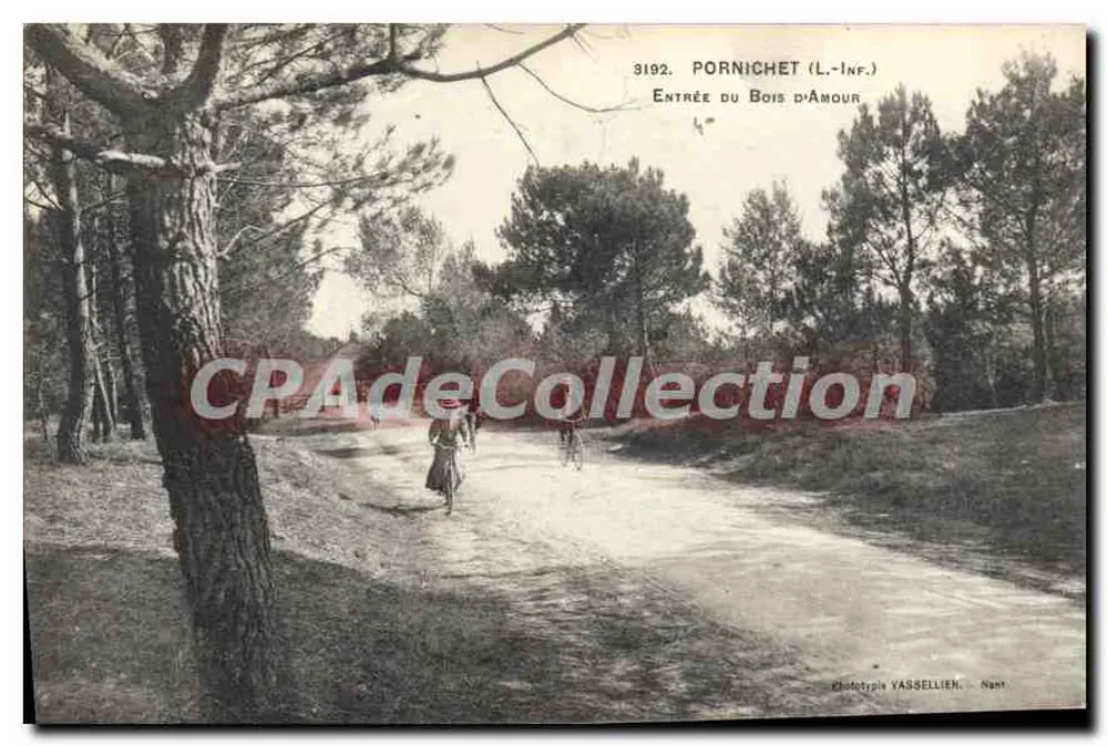 Pornichet (L.-Inf.) — Entrada do Bois d'Amour — Fototipia YASSELLIER, Nam. - Frente