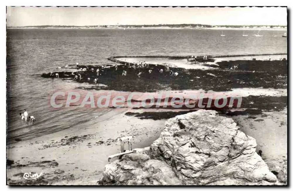 La Plaine-sur-Mer (Loire-Atlantique) — Le Port Girand und der Miesmuschelfang — Combière Imp. "CIM" - Vorderseite