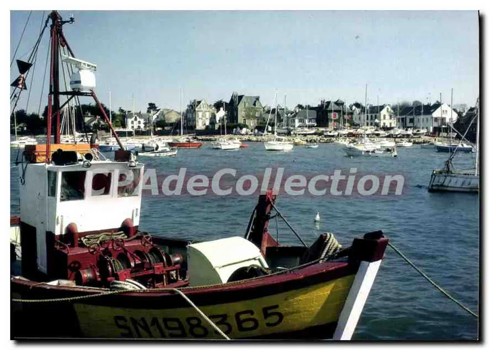Piriac-sur-Mer — O porto — IRIS - Frente