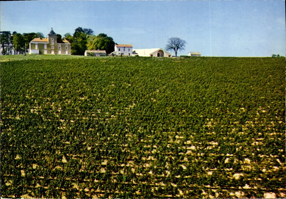 Castelo de Haute-Serre — Premier Grand Cru dos Coteaux de Cahors — editor Castelo de Haute-Serre - Frente