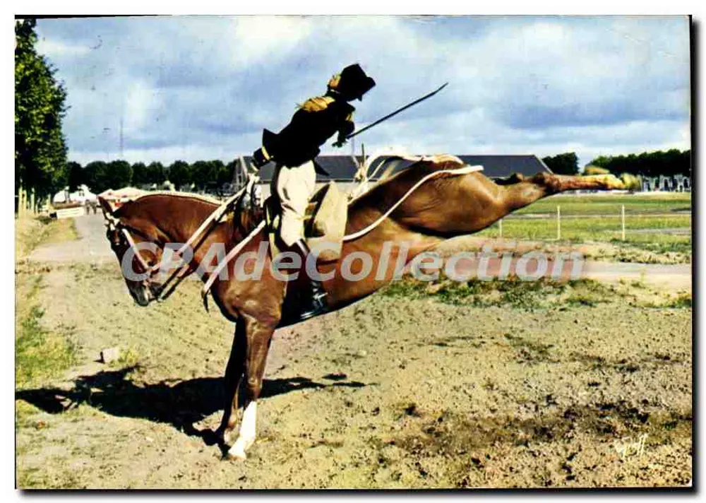 Cavaleiro em ação — salto obstáculos — Mexichrome, n° 492.19 - Frente