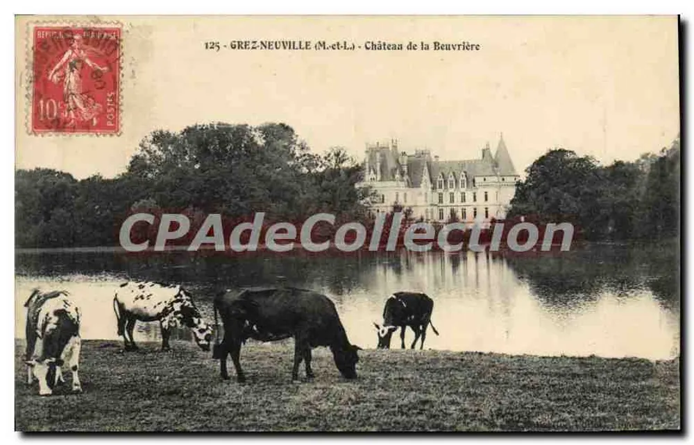 Grez-Neuville (M.-et-L.) — Schloss der Beuvrière — Ansicht mit Kühen nahe einem See - Vorderseite