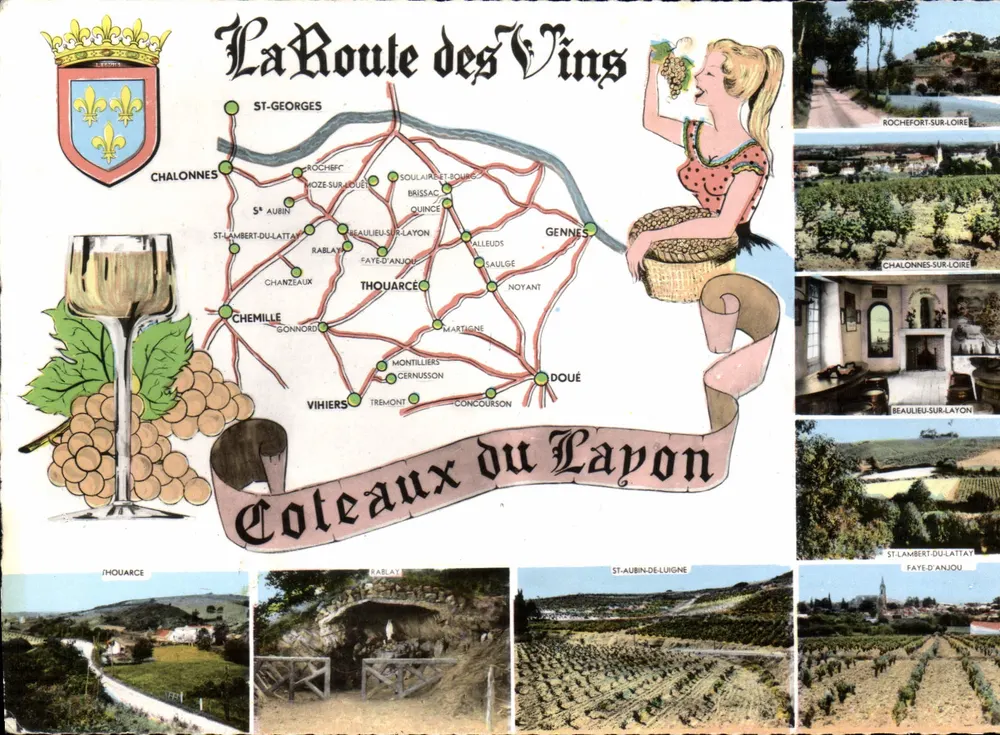 A Rota dos Vinhos — Coteaux du Layon — Editor: Imprensa Robert, n° CE 8 - Frente