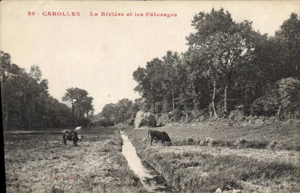 Carolles — Der Fluss und die Weiden — J. Cœur, 80 - Vorderseite