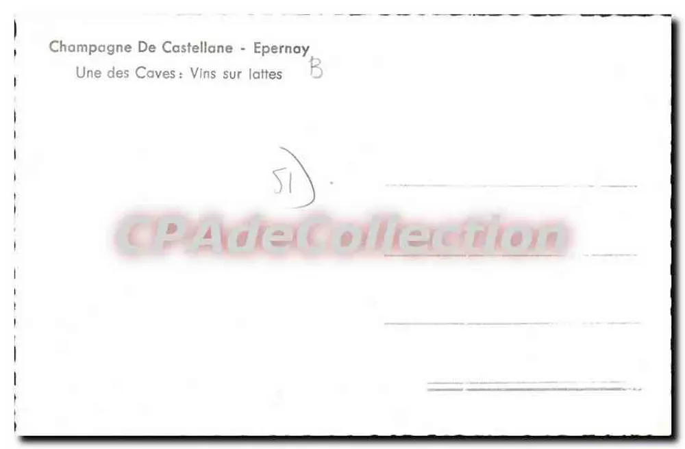Champagne De Castellane - Epernay — Uma das Caves : Vinos sobre lattes - Verso