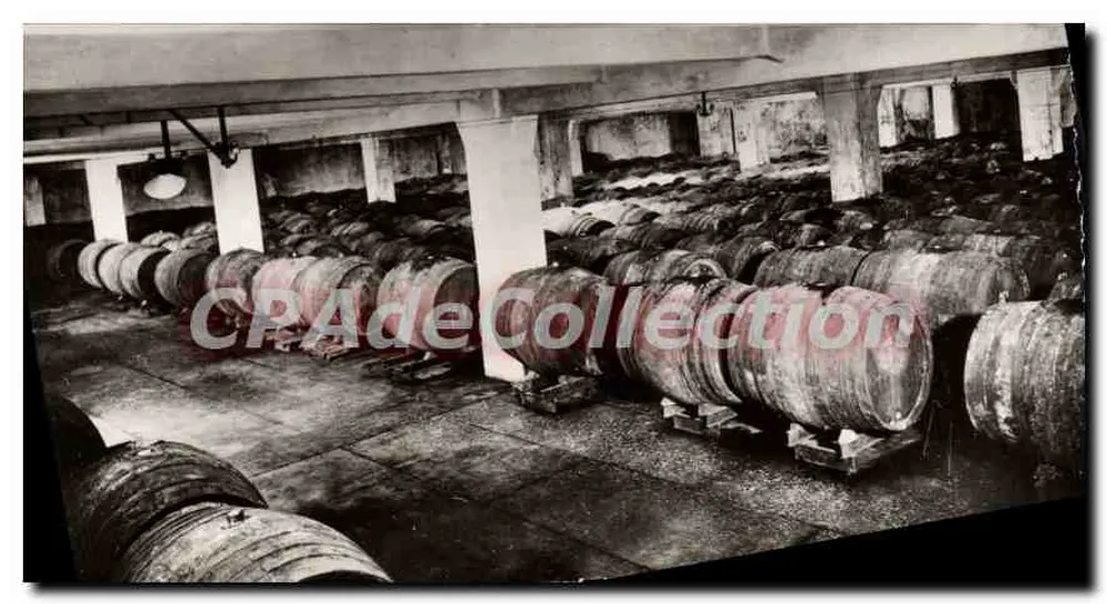 Bodega de vinos en reserva — Champagne De Castellane - Epernay - Anverso