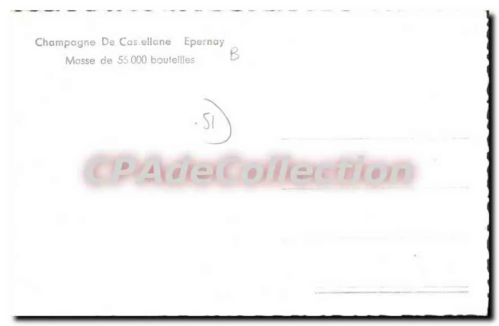 Champagne De Casellane — Epernay — Menge von 55.000 Flaschen - Rückseite