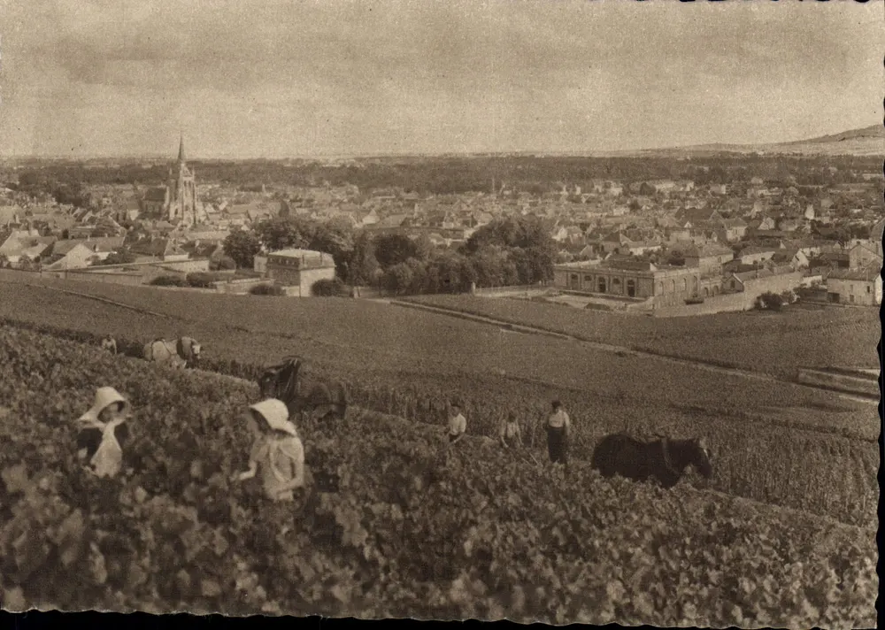 Ay — Vue générale. Premier cru de raisins noirs — Champagne Pommery & Greno - Reims - Recto