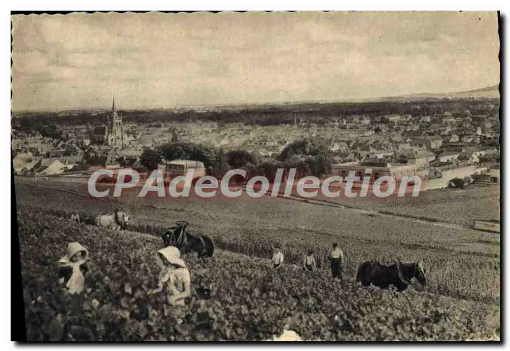 Ernte von Trauben — Ay, Champagne — Verlag Champagne Pommery & Greno - Reims - Vorderseite