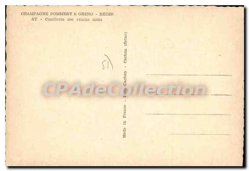 Ernte von Trauben — Ay, Champagne — Verlag Champagne Pommery & Greno - Reims - Rückseite