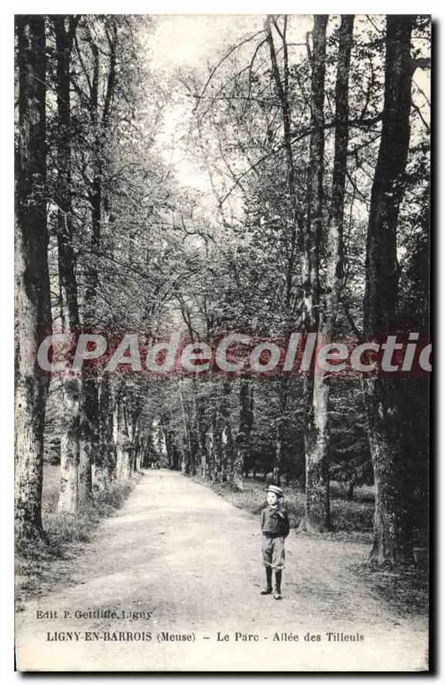 LIGNY-EN-BARROIS (Meuse) — Der Park - Allee der Linden — Édit. P. Geitliffe, Ligny - Vorderseite