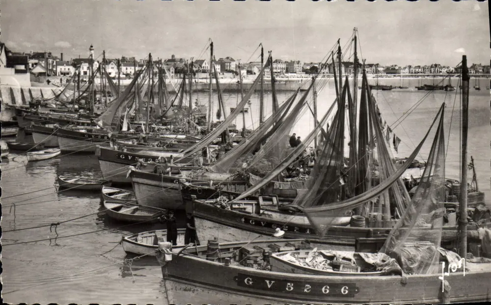 Port-Maria — Sardinières in Quiberon — Editions Martel, Nr. 8 3101 - Vorderseite