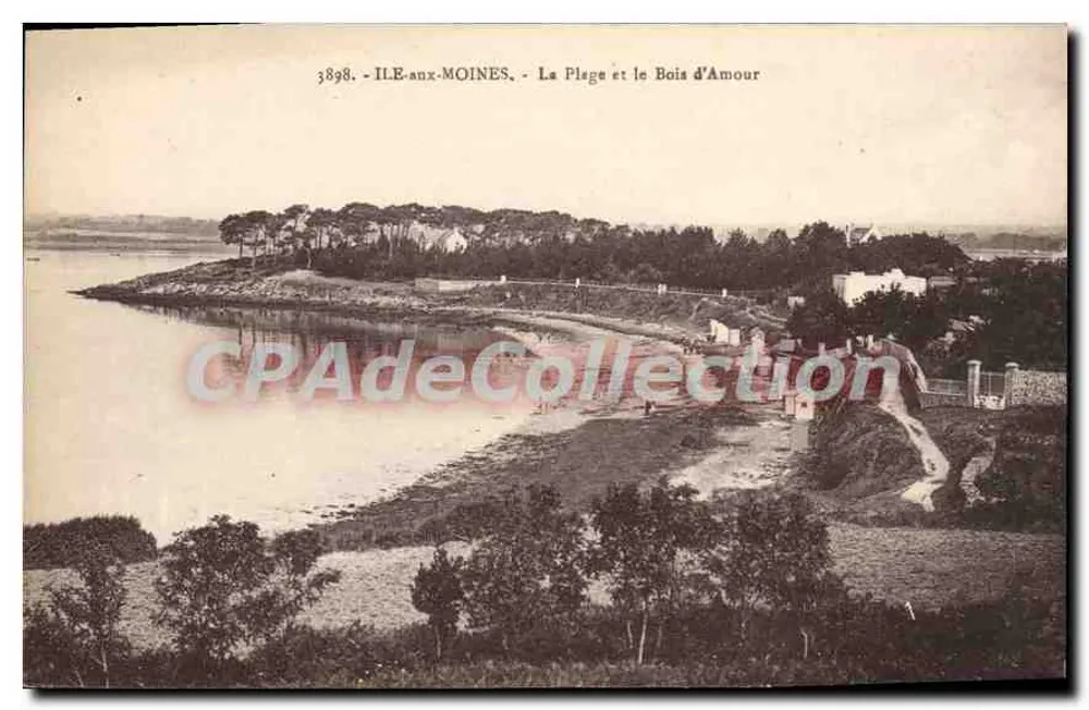 Île-aux-Moines — Die Strände und der Bois d'Amour — Laurent-Nel, Rennes - Vorderseite