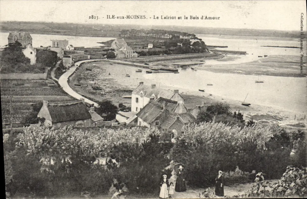 Ile-aux-Moines — Le Lairiot und der Bois d'Amour — Sammlung Rivet, Porspierre - Vorderseite