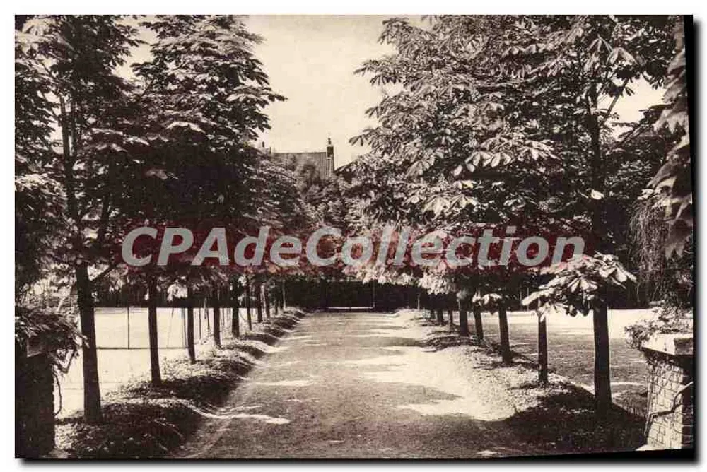 Avenue der Kastanienbäume — Institution de Ségur, Roubaix — Ansichtskarte - Vorderseite
