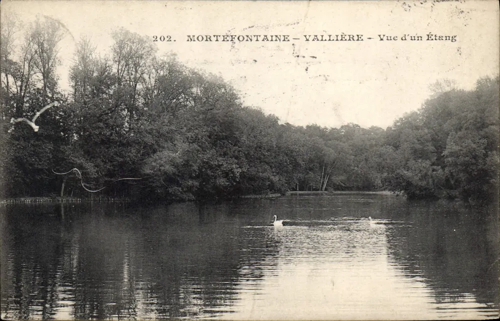 Mortefontaine - Vallière - Ansicht eines Sees — n° 202 - Vorderseite