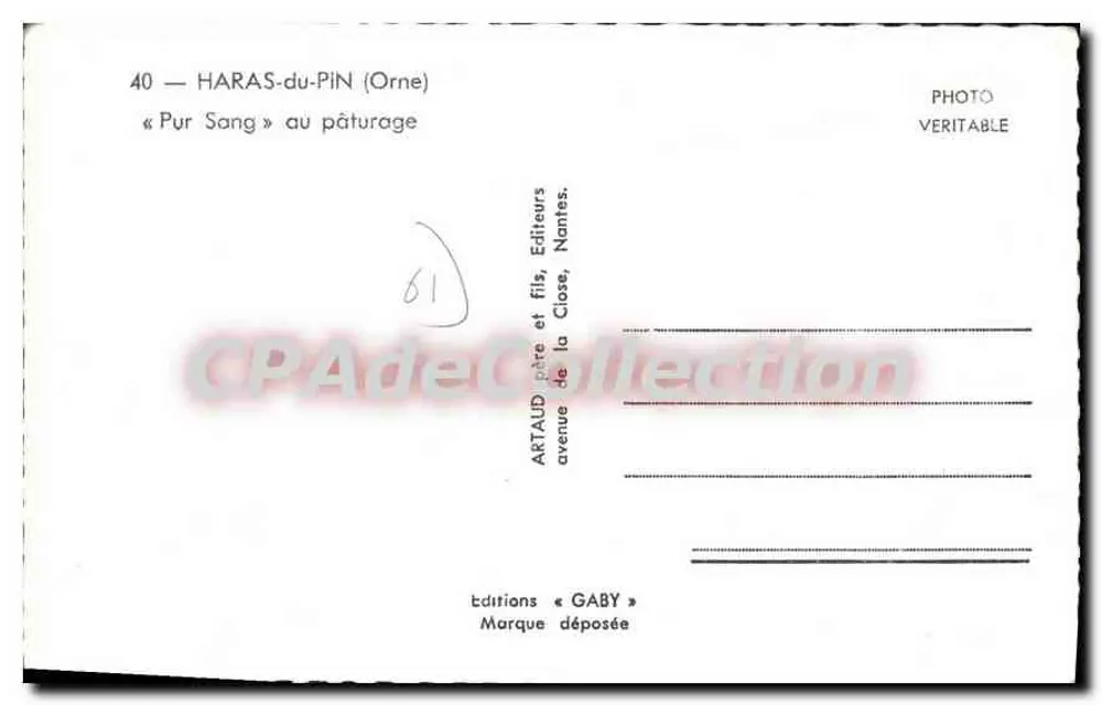 Haras-du-Pin (Orne) — Cavalo Puro Sangue no Piquete — Edições Gaby, Nantes - Verso