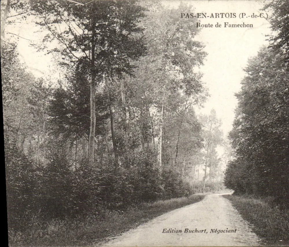 PAS-EN-ARTOIS (P.-de-C.) — Route de Famechon — Édition Buchart, Négociant - Vorderseite