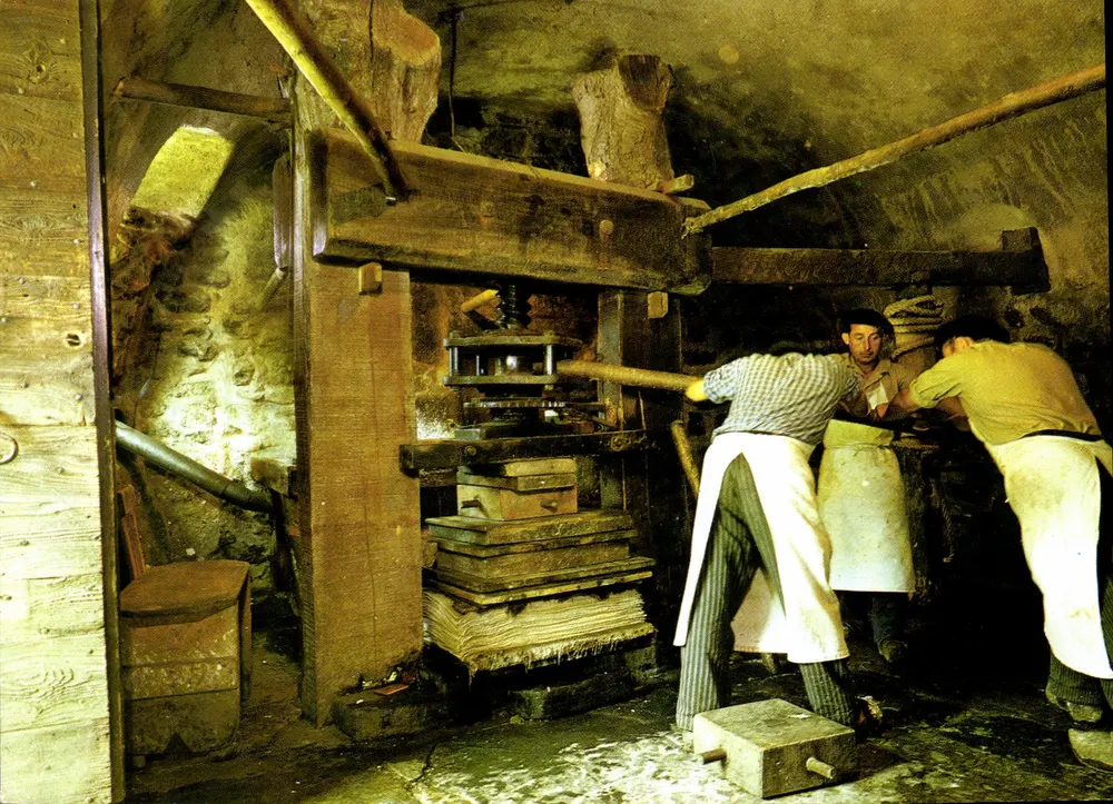 Moulin Richard de Bas — La pressatura delle foglie bianche — Museo Storico della Carta, Ambert (P.-de-D.) - Recto