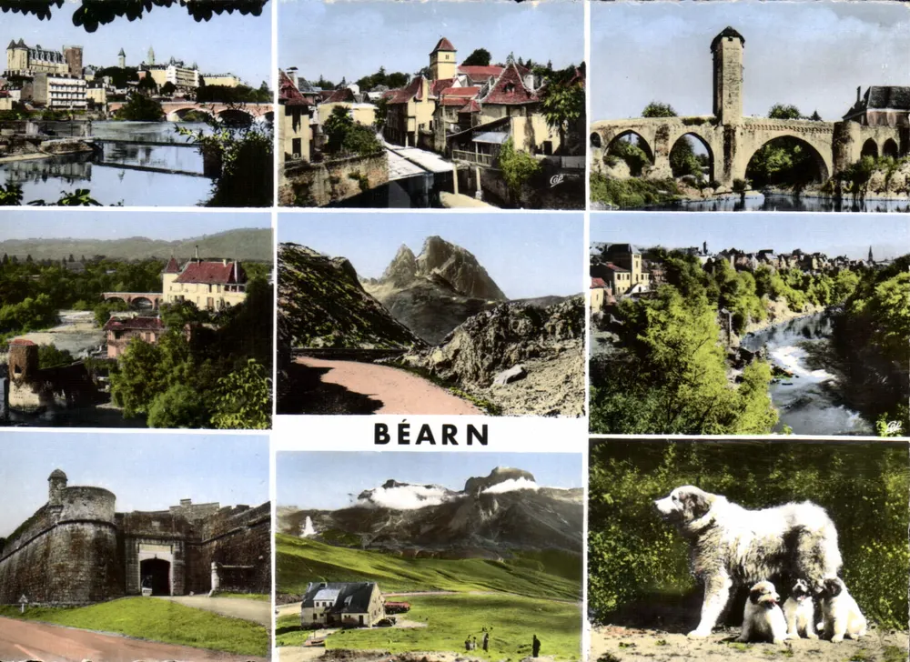 Béarn — Cảnh quan và chó Pyrénées — Chir les Arts Photomécaniques, Paris - Mặt trước