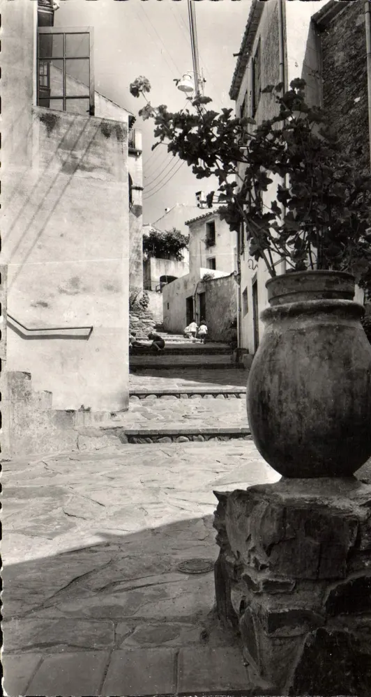 Banyuls-sur-Mer — rue Maillot — n° 35.296 - Frente