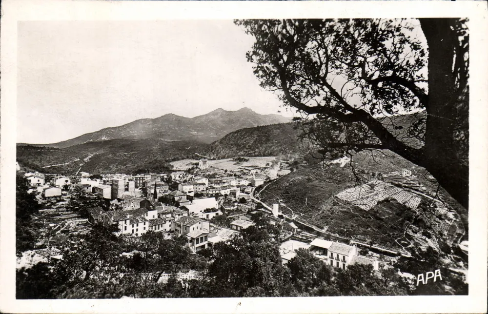 Apa — Widok panoramiczny — Sté des Cartes Postales APA - Awers