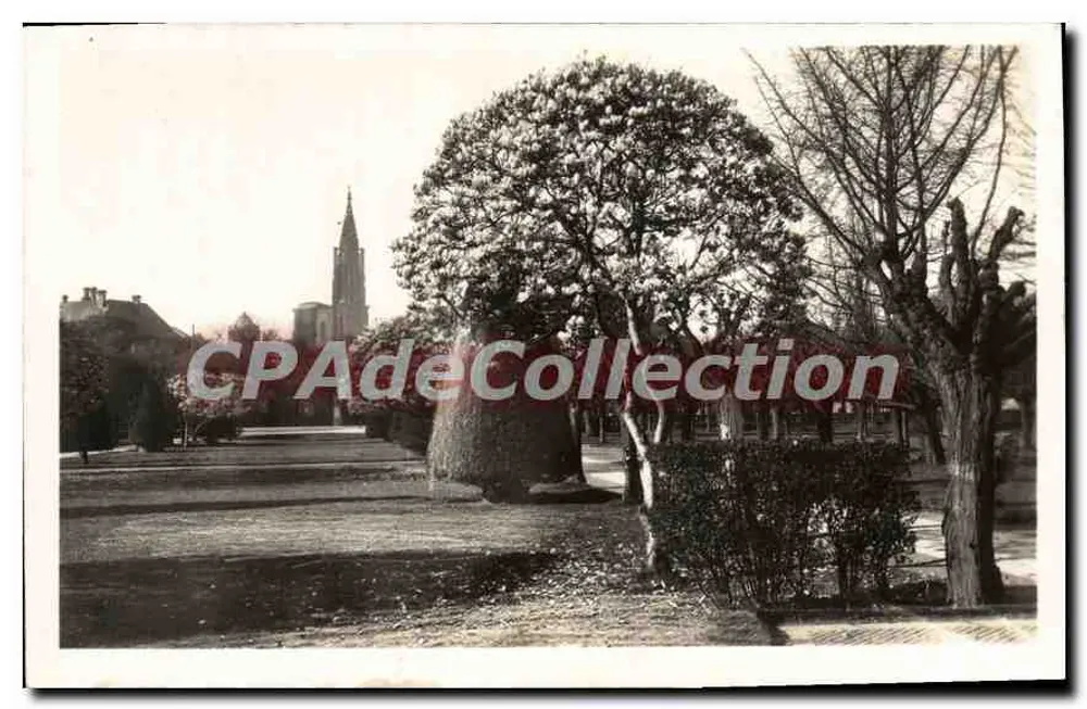 Place de la République — Stéphanie, França — CPAdeCollection - Frente