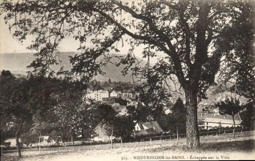 Niederbronn-les-Bains — Blick auf die Stadt — Edition Zappe, Nr. 515 - Vorderseite