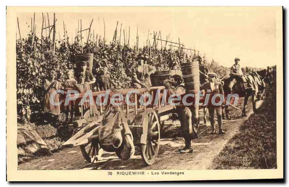 Riquewihr - As Colheitas — Edição Wibreo, n° 30 - Frente