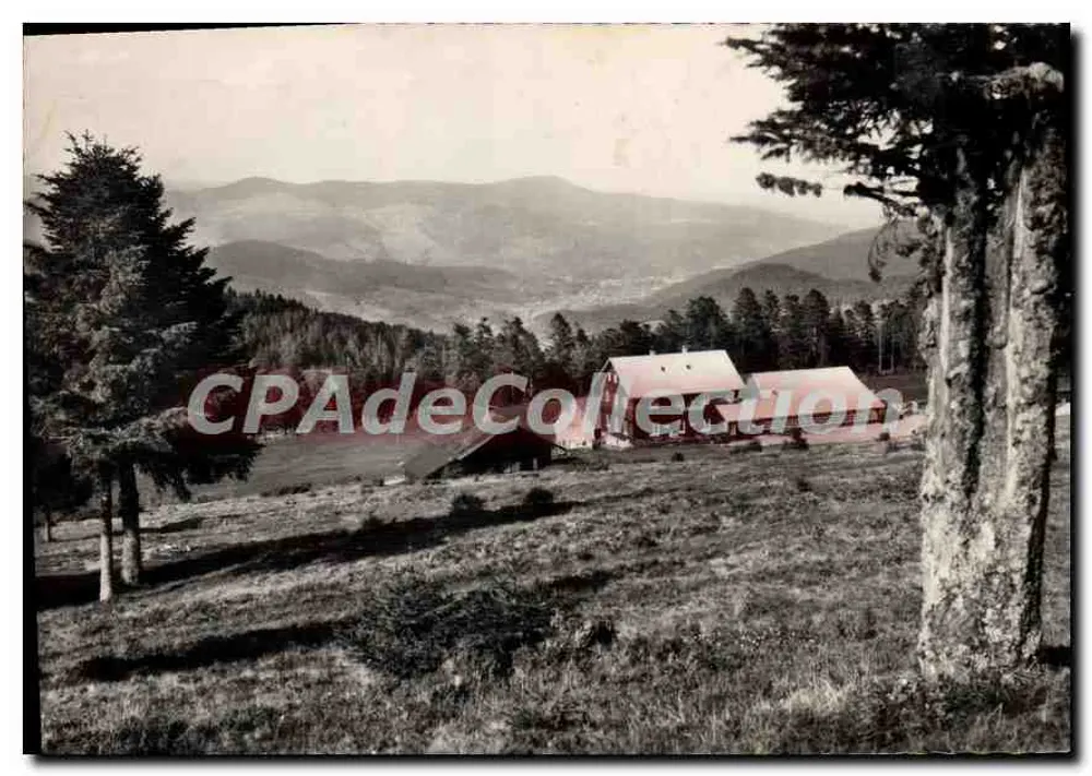 Os Vosges Pittorescos — Schneppenried (alt. 1150 m.) — Restaurant-Pension Ruhland — Edição Robert BEKZOG — n° 218 a - Frente