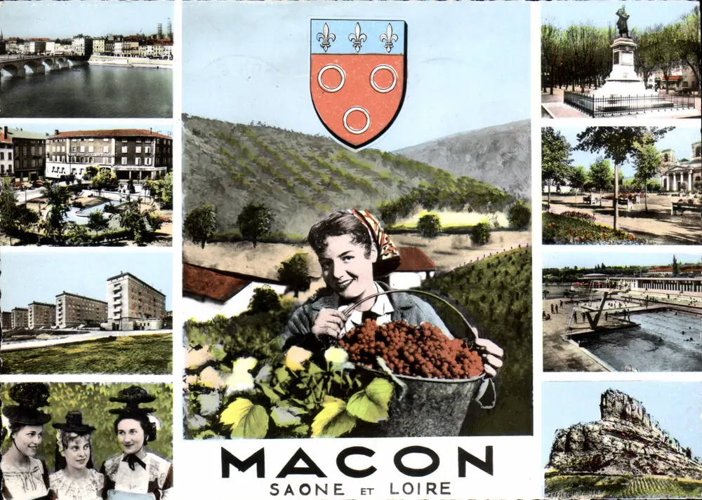 Macon, Saône e Loire — vista panorâmica com vinhedo — Combiér Imp. Macon (S.-et-L.) - Frente