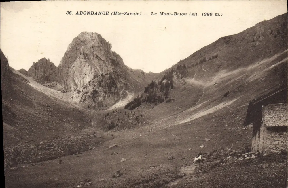 Abondance (Hte-Savoie) — O Mont-Briou (alt. 1980 m.) - Frente