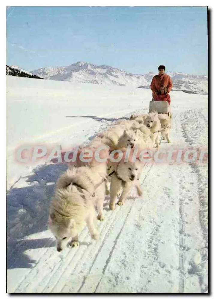 Sleddog-Team des großen Nordens in unseren Bergen — Grenoble, Serie PH 97 - Vorderseite