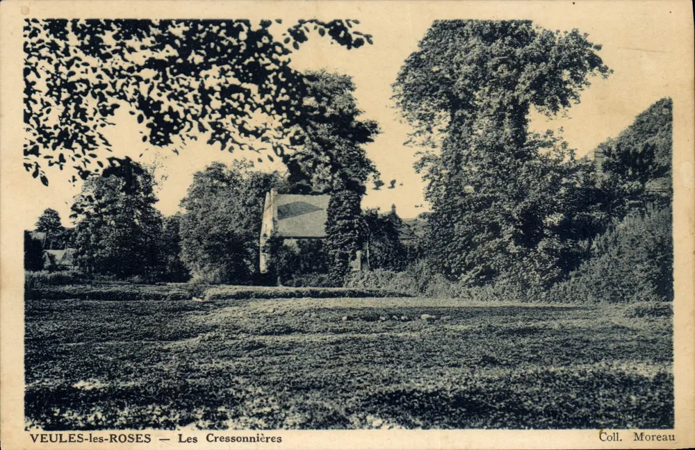 VEULES-les-ROSES — As Cressonnières — Coll. Moreau - Frente