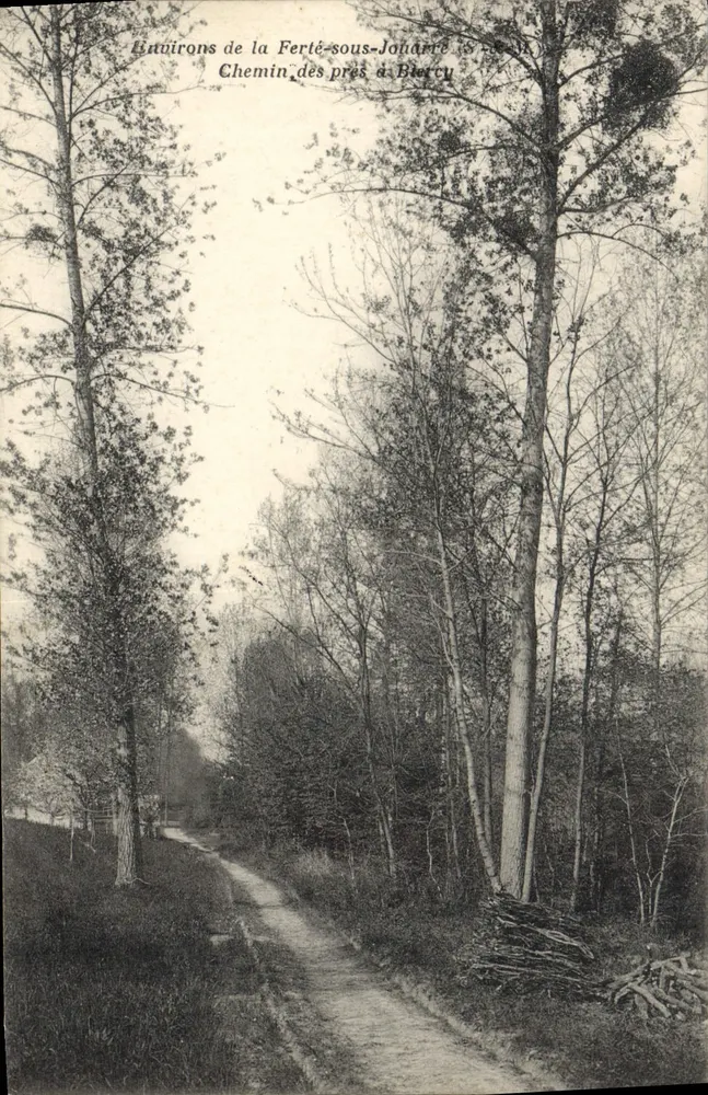Lauviroins de la Ferté-sous-Jouarre — Chemin des prés à Biercy — Edit. Duhurecq - Recto